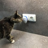 Repellio Pest Repeller Sound customer — James T.